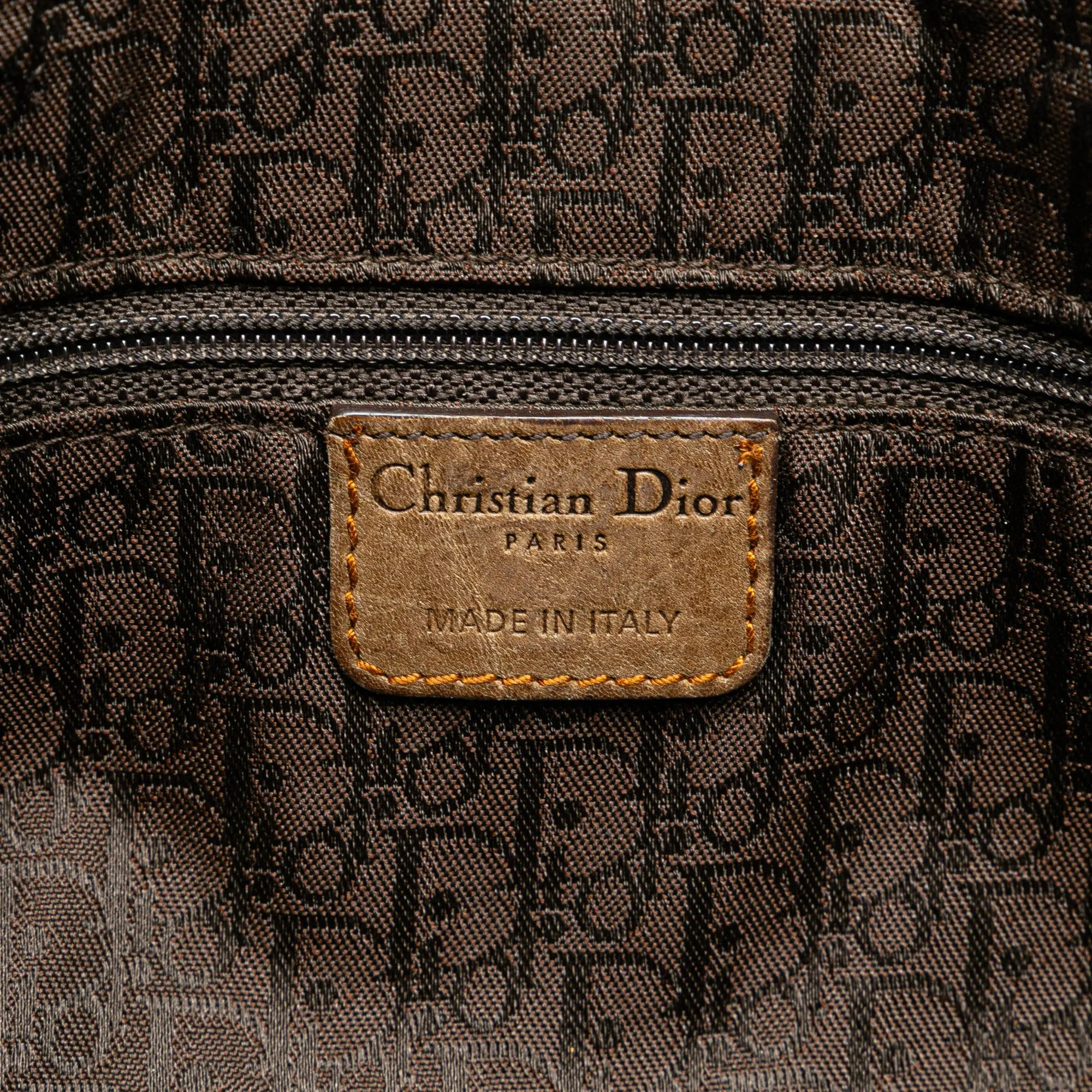 Dior Gaucho Double Saddle (SHG-ABJqt9)