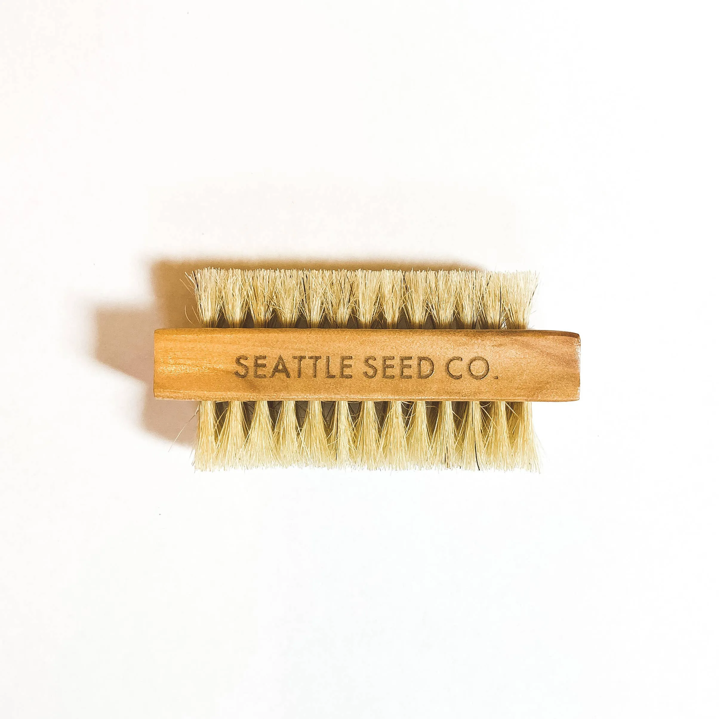 Vegetable and Nail Brush by Seattle Seed Co.